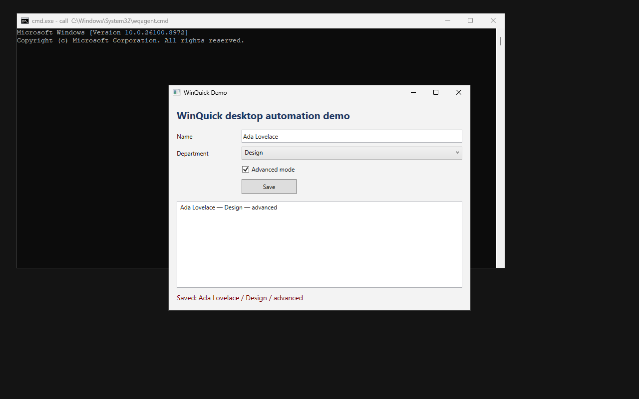 A full Windows desktop running inside WinQuick with the demo application open