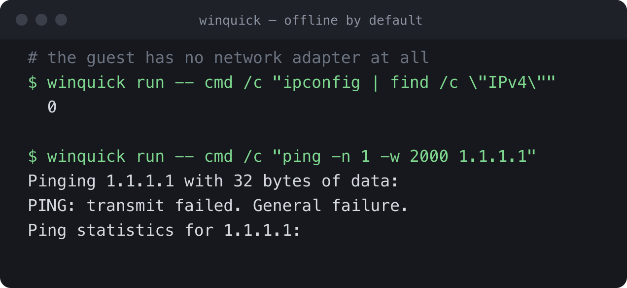 Terminal showing the Windows guest has zero IPv4 adapters and cannot ping