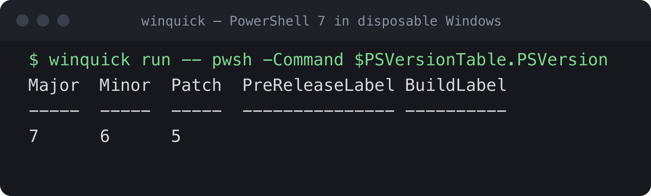 Terminal showing PowerShell 7 running inside a disposable Windows environment