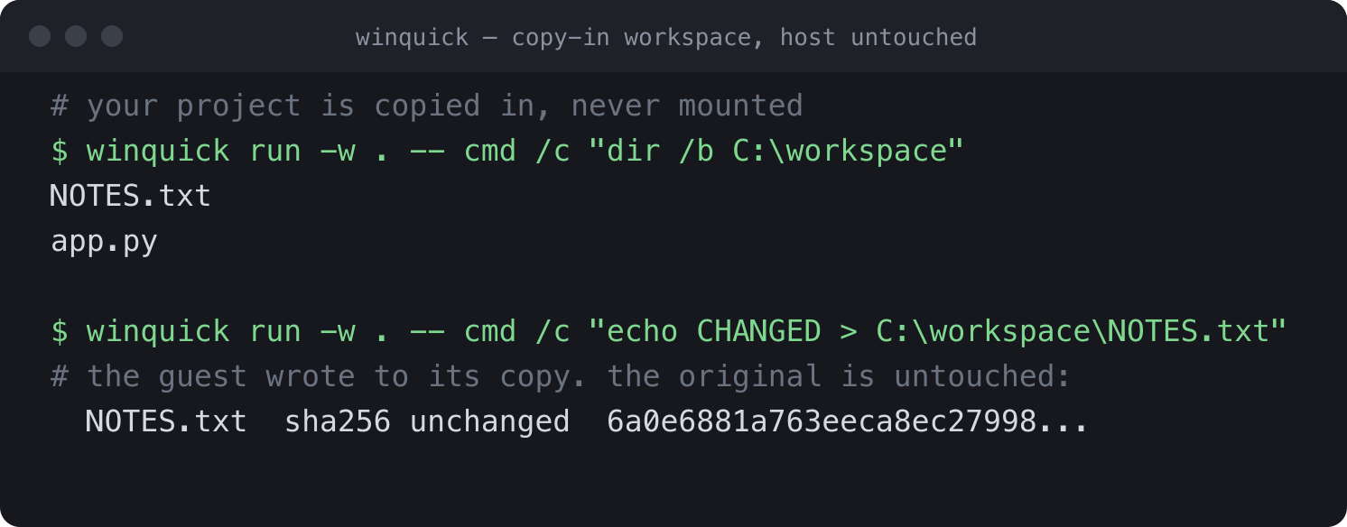 Terminal showing a project copied into Windows and the host file SHA-256 unchanged afterwards